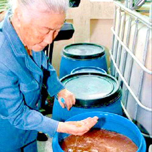 MIX di 13 Fermentati Fervida - 12 anni