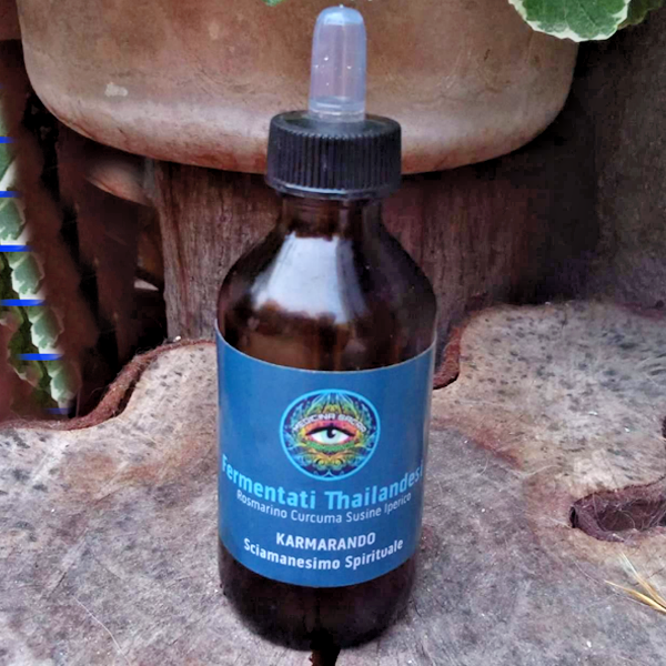 Fermentati Fervida - Yerba Mate - Microrganismi Effettivi 10 anni