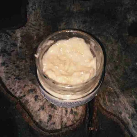 Crema Gel Vita di Fermentati Fervida Micorganismi: fermentati Fervida, microrganismi effettivi e uso consapevole