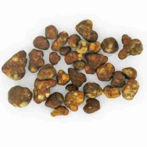 Tartufi Magici Hollandia Essiccati Spirituali - Microdose e Cerimonia