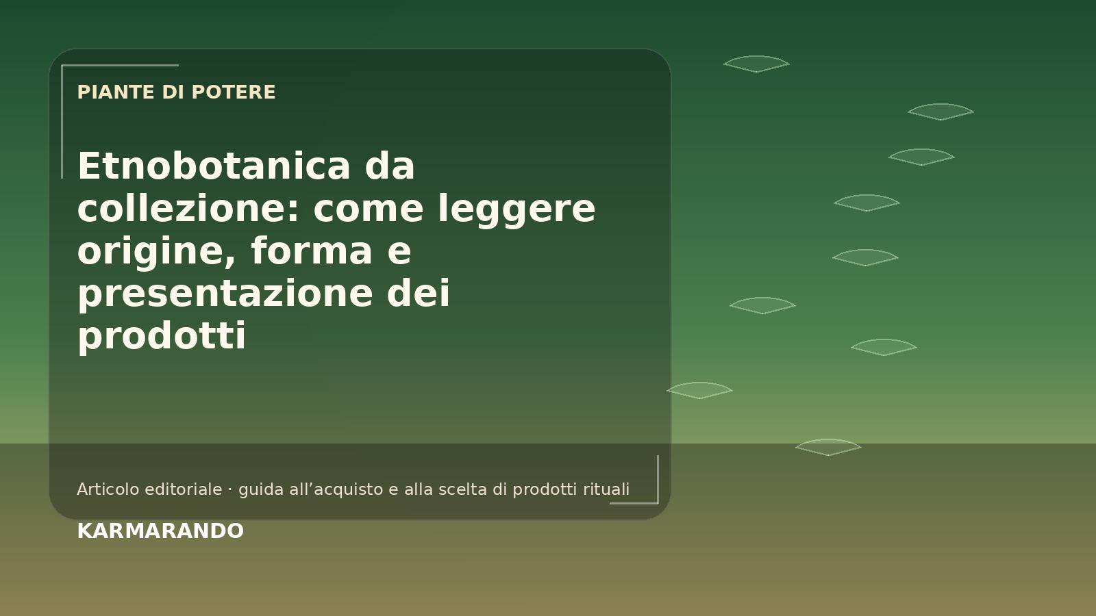 Etnobotanica da collezione: come leggere origine, forma e presentazione dei prodotti
